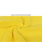 Sleeky Car Wash Towel